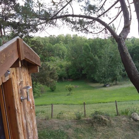 La Cabane En Bois Villemur-sur-Tarn Eksteriør billede