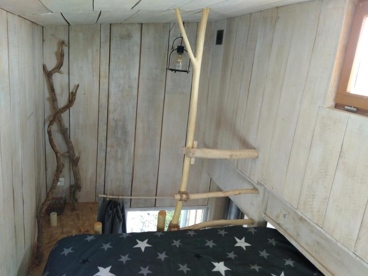 La Cabane En Bois Villemur-sur-Tarn Eksteriør billede