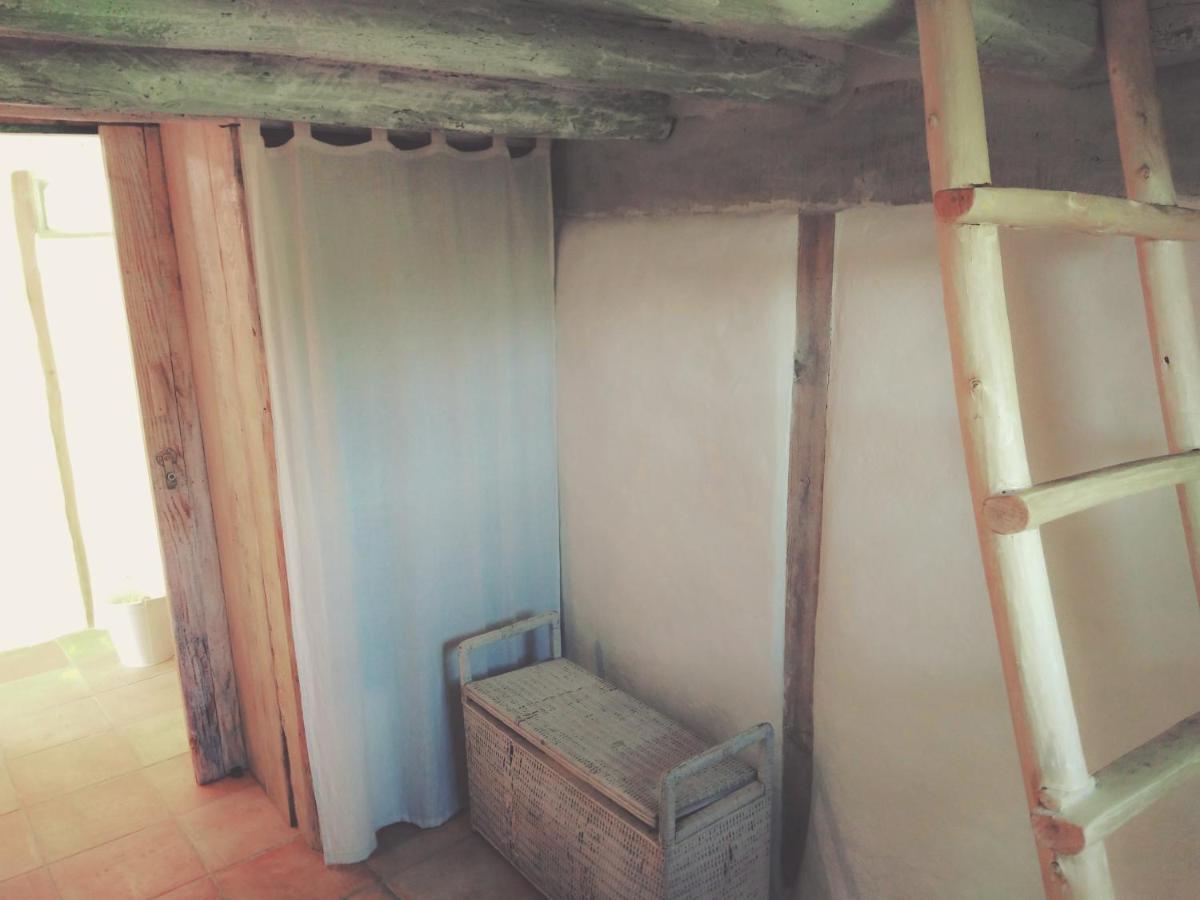 La Cabane En Bois Villemur-sur-Tarn Eksteriør billede