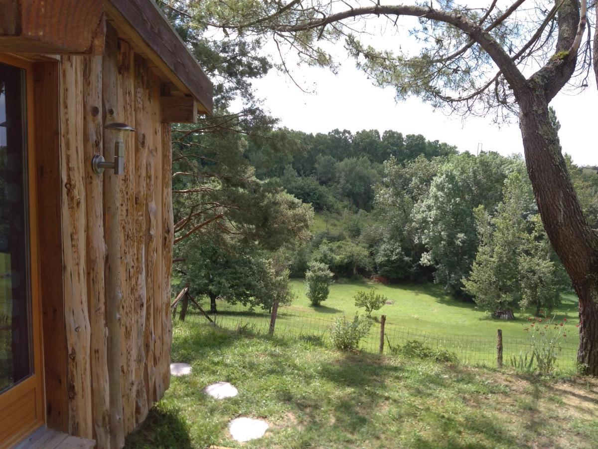 La Cabane En Bois Villemur-sur-Tarn Eksteriør billede