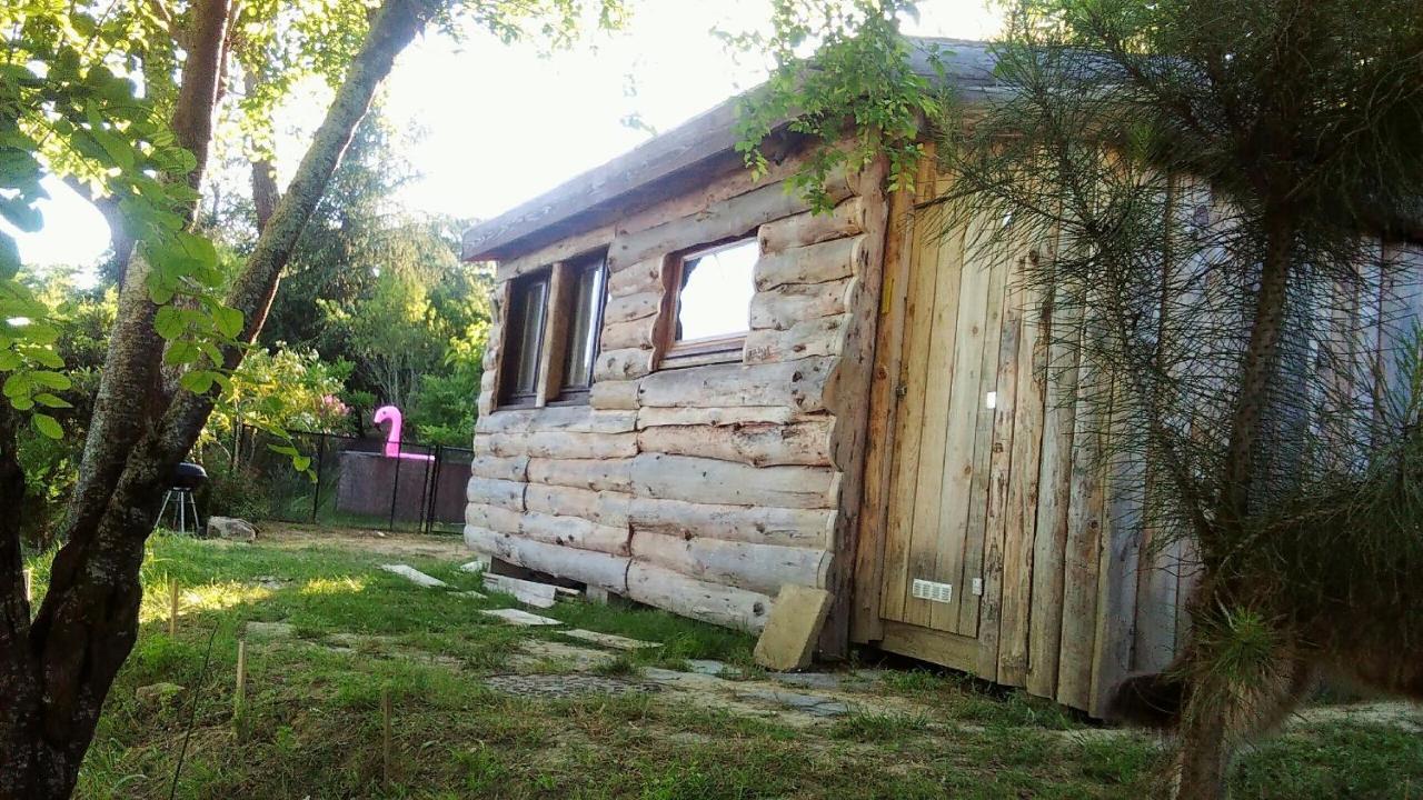 La Cabane En Bois Villemur-sur-Tarn Eksteriør billede